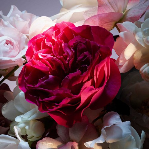 LANCÔME La Nuit Trésor Fleur de Nuit - Eau de Parfum Florale LANCÔME La Nuit Trésor Fleur de Nuit - Eau de Parfum Florale